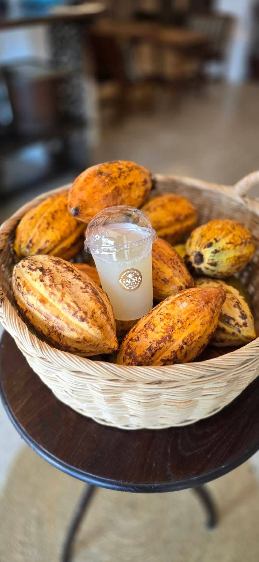 Cacao Pods Drink Basket
