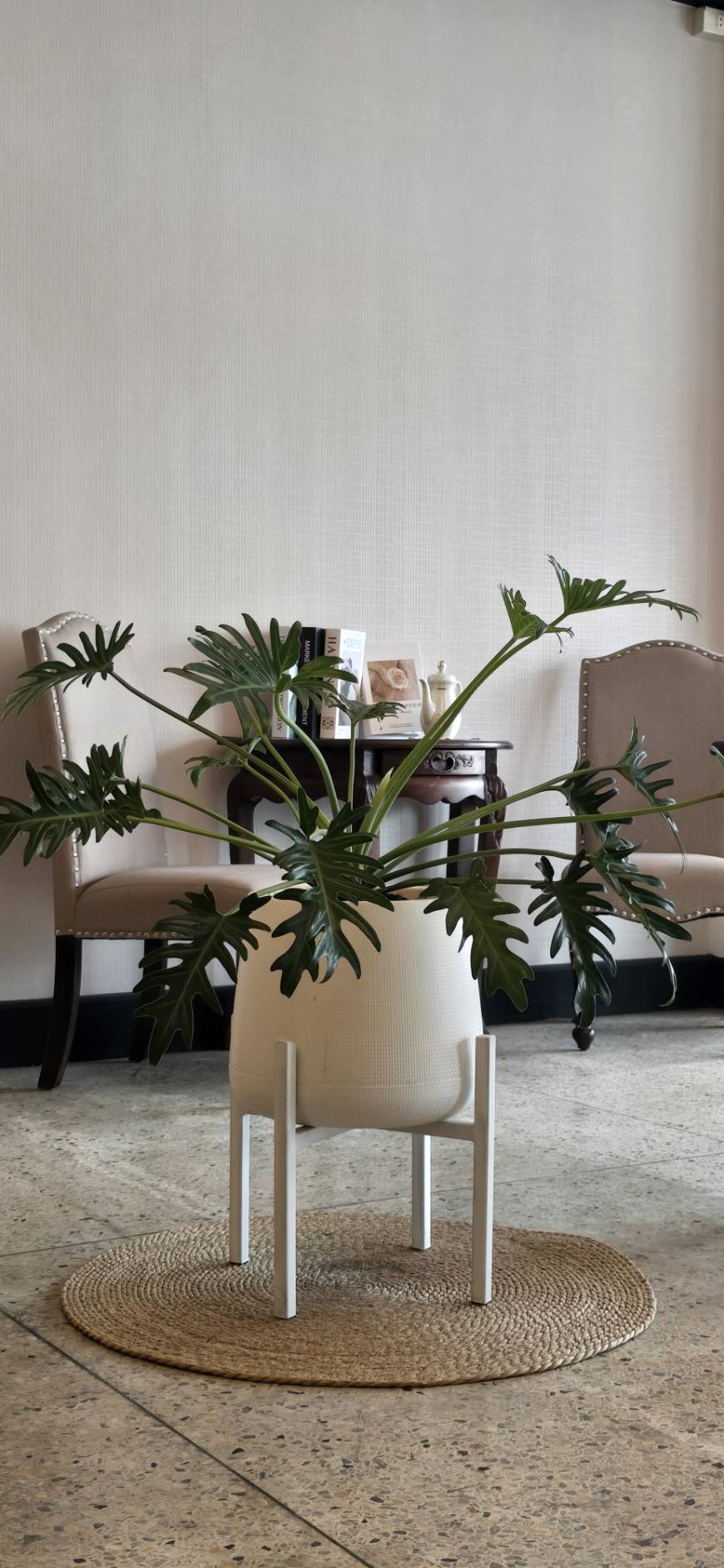 Potted Plant Corner